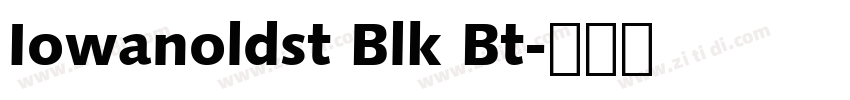 Iowanoldst Blk Bt字体转换